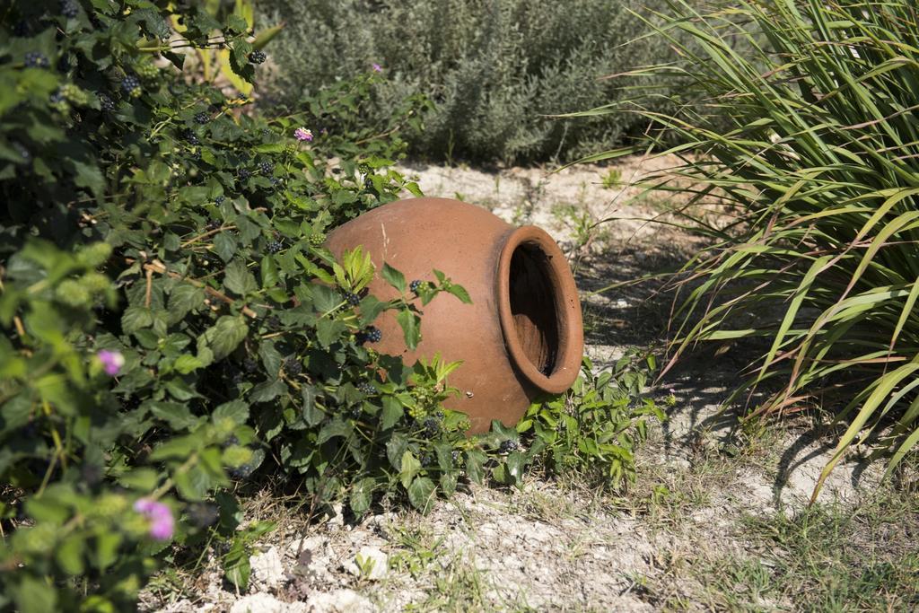 Apartamento Agrepavli Lapithia Kallepia Exterior foto